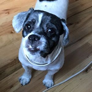 Meet your Posher, Lynne